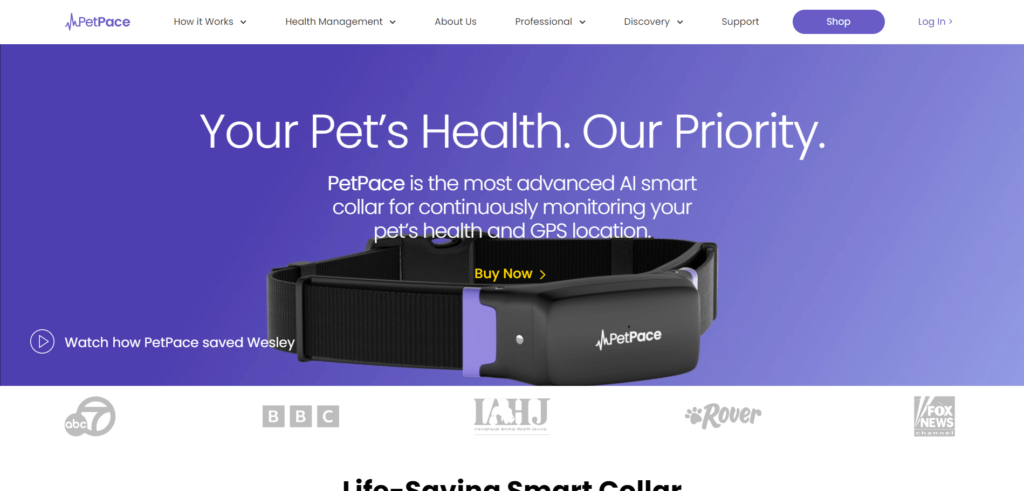 petpace A Guide to AI Tools for Veterinary Medicine